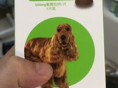 -众联宠物医院