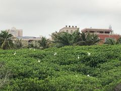 -霞山观海长廊