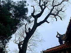 -金堂县云顶石城风景区