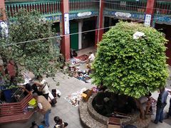 -云南古玩城(护国路店)