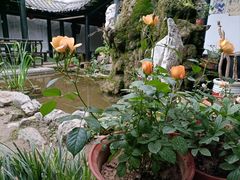 -膳和缘炒鸡店(南门路店)