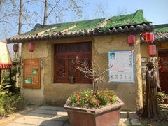 -合肥滨湖国家森林公园