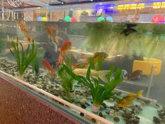 -令狐冲烤鱼·烧菜馆(达明店)