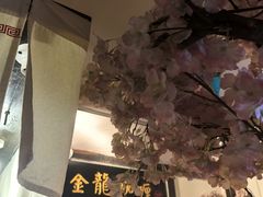 -金龙咖喱