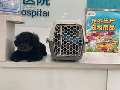 -佳雯宠物医院(四明中路分院)