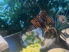 -打酱友•斑鱼海鲜粥火锅(吴桥店)