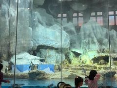 -帝企鹅自助餐厅•儿童岛•真企鹅(长隆企鹅酒店)