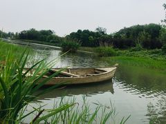 -两河城市森林公园