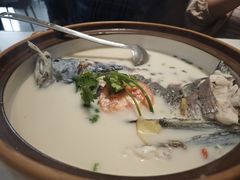 -全乐鱼馆·淳牌有机鱼直营店