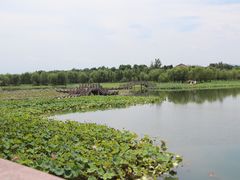-仙山湖景区