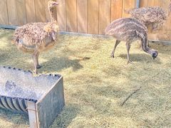 -水上乐园·欢乐世界