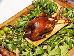 -蝶舍·MAISON PAPILLON