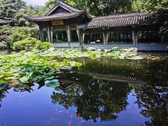 -乾园.魏庐湖景餐厅(花港店)