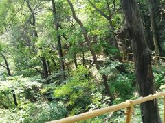 -北京上方山国家森林公园
