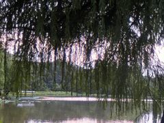 -南宁良凤江国家森林公园