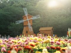 -苏州上方山国家森林公园