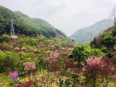 -四明山国家森林公园