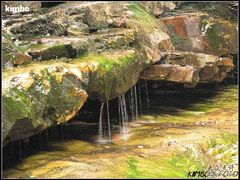 -祁门牯牛降观音堂风景区
