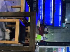 大堂-阿尔法海鲜排档(爱琴海店)