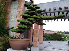 -上海海湾国家森林公园