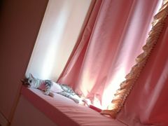 -特一安24小时宠物医院·骨科·中兽医