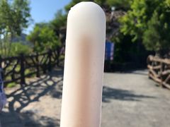 -十渡高山漂流