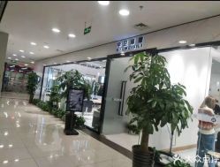 -华卫思理轻奢造型