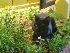 -南蚝小贝海鲜特色餐厅(南澳岛店)