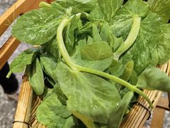 -阿婆情腊排骨火锅(金虹路店)