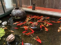 -野蔓果·山野菜(西湖景区·龙井茶田店)