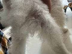 -爱侣宠医·鹦鹉专科·小型哺乳类·异宠专科(灵石路店)