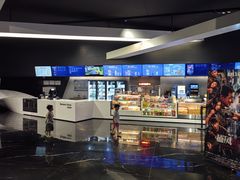 -奥斯卡升龙国际影城(RealD Cinema)