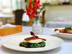 -蝶舍·MAISON PAPILLON