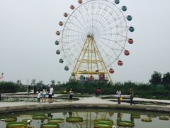 白洋淀文化苑-白洋淀风景区