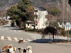 -石塘人家