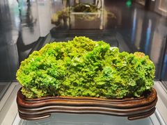 -安徽省地质博物馆