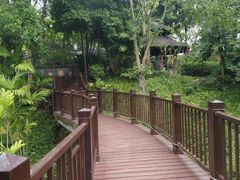 -美的鹭湖森林度假区