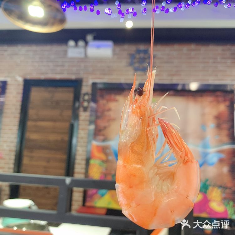 我超级喜欢海洋生物🦞顿顿都少不了🦑