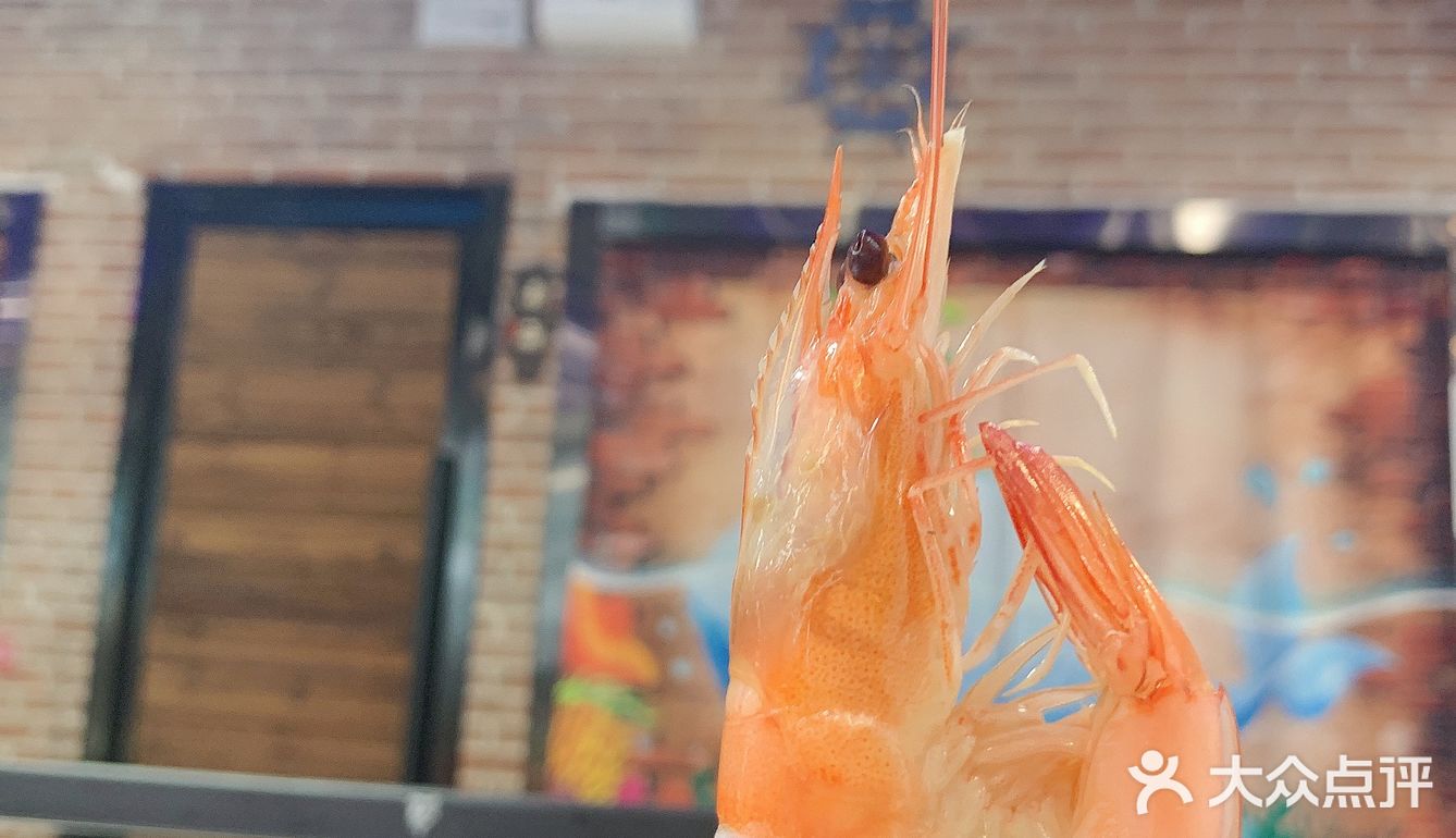 我超级喜欢海洋生物🦞顿顿都少不了🦑