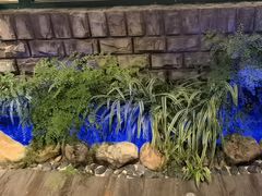 -慢丽江·云南野生菌土鸡锅(付家庄店)