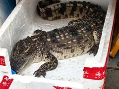 -大观篆新农贸市场