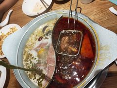 -青瓷火锅料理(西单大悦城店)