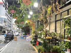 -溪岸路花鸟市场