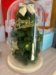 -敦南真爱月子会所(黄埔店)