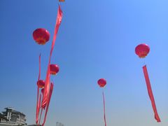 -洪湖湿地生态园