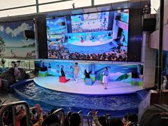 -成都浩海立方海洋公园