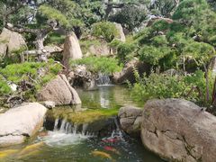 -罗红摄影艺术馆