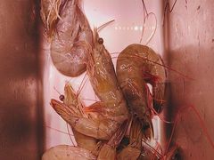-牛吉韵·鲜切牛肉自助火锅(南山店)
