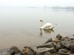 -北龙湖湿地公园