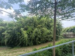 -盈香心动乐园